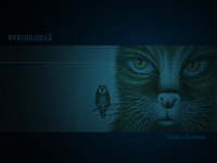 Wallpaper cat www.caricatura.lt